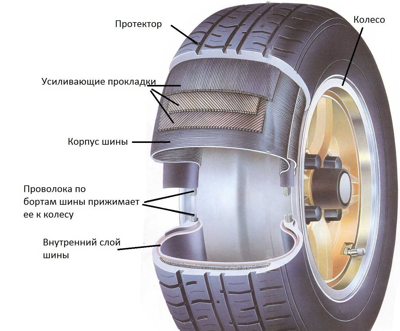 Чем отличается шина от покрышки? | в чем разница