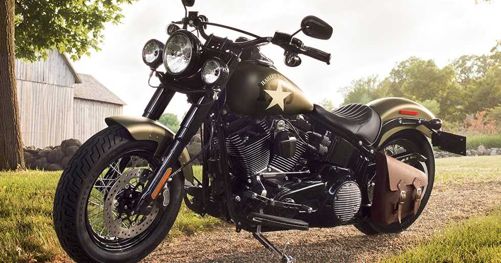 Hardtail vs softail: how to choose which motorcycle is best for you