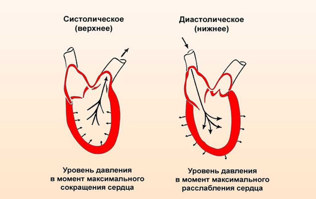 Разница между высоким и низким давлением, артериальным и сердечным – эл клиника