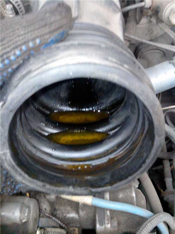 Масло в воздушном фильтре, причины появления, почему моторное масло гонит через патрубки, что делать и как прекратить