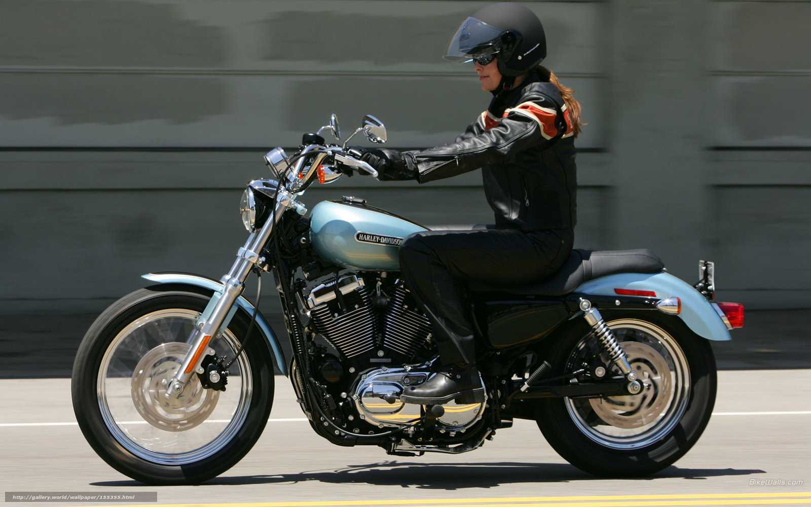 1200 sportster custom 2004-2014 — мотоэнциклопедия